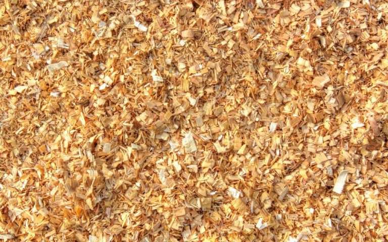 Wood-shavings image